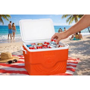Nevera Portátil Resistente Majestic de 43 Litros - Enfriador Grande para Actividades al Aire Libre - Product Image 5