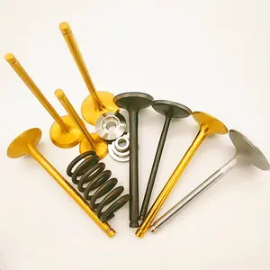 Kit valve d'admission et d'échappement Tu5j4, haute qualité, 2 sets, ressorts <span class=keywords><strong>à</strong></span> double piston, pour <span class=keywords><strong>citroën</strong></span> <span class=keywords><strong>Saxo</strong></span> 1.6 16V VTS - Product Image 1