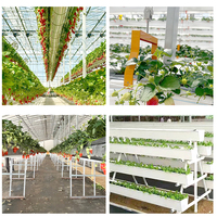 Bac de culture commercial avec support, gouttière de culture pour ferme de fleurs coupées