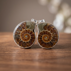 Pendentif Ha Gems Ammonite Fossile avec Monture en Argent, Pierre Naturelle, Thème Vintage, Unisexe, Vente en Gros, Lot en Vrac, Fournisseur Rajasthan - Product Image 2