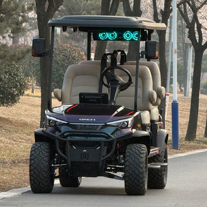 Voiture de golf F14 H4, nouvelle tendance, buggy 4 places, voiture surélevée - Product Image 1