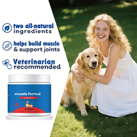 Poudre de renforcement musculaire et de soutien articulaire haute puissance pour chiens, glucosamine, chondroïtine, oméga-3 pour animaux de compagnie
