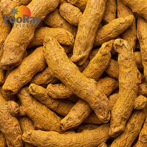 بيع مباشر من مصنع يولين: كركم مجفف كامل الأصابع مصقول مرتين بلون أصفر زاهي، بهار تقليدي، توريد مباشر من المصدر - Product Image 4