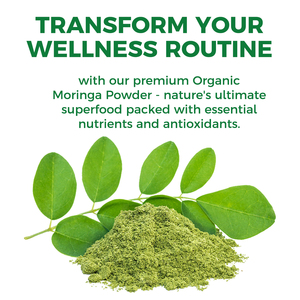 Poudre de feuilles de Moringa biologique OEM/ODM pour le soutien immunitaire et antioxydant des adultes, suppléments naturels de vitamine D et de fer à base de plantes - Product Image 3