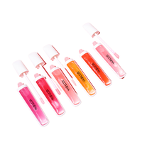 Gloss à lèvres liquide repulpant à base de plantes, huile hydratante, saveur fraise, format voyage, sans logo, étiquette privée personnalisée, certifié MSDS