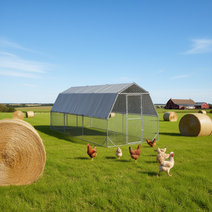 Enclos extérieur durable pour poulets en acier galvanisé 10x12 pieds - Product Image 2