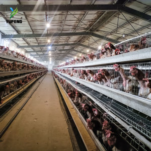 Nouvelle cage à poulets de type A à 4 niveaux à faible coût, galvanisée à chaud, matériau Q 235, longue durée de vie, élevage de volailles - Product Image 6