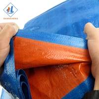Bâche transparente imperméable - Bâche de camion en polyéthylène haute résistance