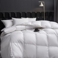 Couette en duvet de plumes d'oie/canard bio en gros pour lit Queen/King, idéale pour l'hiver et l'usage domestique, inspirée de l'hôtel Hilton