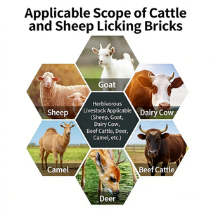Bloque <span class=keywords><strong>de</strong></span> Sal <span class=keywords><strong>de</strong></span> Alta Calidad con Calcio y Oligoelementos para Ganado Vacuno y Ovino, para Vacas Gestantes y Cría <span class=keywords><strong>de</strong></span> Ganado, Envío Rápido - Product Image 6