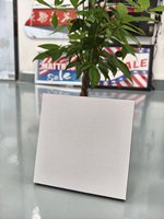Plaques photo vierges en MDF pour sublimation, cadre photo, 15 mm, blanc brillant, bloc photo vierge en MDF pour sublimation, cadeau promotionnel