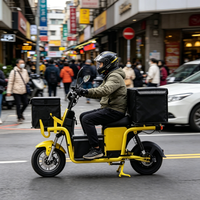 Vélo électrique 1000W 60V avec cadre en acier et batterie 60V V8, idéal pour la livraison de marchandises et de repas - Vente en gros directe usine Chine 2026