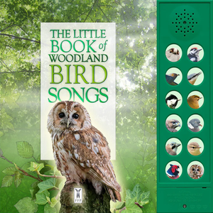 Nouveau design <span class=keywords><strong>Livre</strong></span> de carte son interactif à 12 boutons Chansons d'oiseaux audio éducatives précoces pour enfants imprimés - Product Image 3