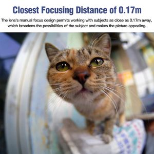 Lente <span class=keywords><strong>Ojo</strong></span> <span class=keywords><strong>de</strong></span> <span class=keywords><strong>Pez</strong></span> TTArtisan 11mm F2.8 <span class=keywords><strong>de</strong></span> Fotograma Completo, Enfoque Manual, Compatible con Cámaras E/L/Z/EOS-R/GFX Leica M Canon EF Nikon F DSLR - Product Image 4