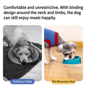 Tuta Post-Operatoria per Cani Anti-Leccamento in Cotone Ecologico Primavera Estate Tuta Comoda per Operazioni - Product Image 3