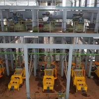 Palmfruit En Kerneloliepersproductielijn Oliewinningsmachine Voor Geraffineerde En Gefractioneerde Palmolieverwerking