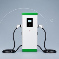 Estación de Carga Rápida DC de Amplio Rango de Voltaje 120kW, Cargador de Vehículos Eléctricos de Pie OCPP 1.6J para Complejos Residenciales CCS1 CCS2 WrightCharge