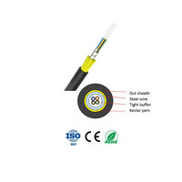 Câble de distribution FTTH en fibre optique blindé en fil d'acier spiralé pour intérieur, 4 cœurs, gaine Kevlar à isolation serrée, gaine LSZH, G652D