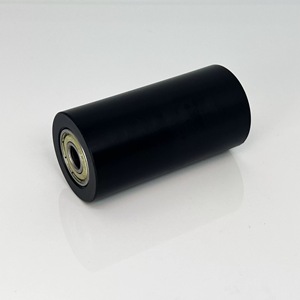 CNC Kılavuz Tekerleği Düz Bantlı Rulman POM/PP Plastik Kaplı Çift İki Rulmanlı Tekerlek 2RS Sızdırmaz Derin Oluklu Bilyalı Rulmanlar - Product Image 1