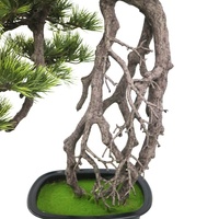 Pohon Pinus Cina Bentuk Khusus Buatan, Tinggi 74cm, dalam Pot