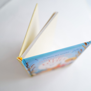 Oem tùy chỉnh bìa cứng softcover bìa cứng trường hợp cuốn sách cho Tiểu Thuyết Câu Chuyện bù đắp in ấn trên miếng bọt biển Hội Đồng Quản Trị sản xuất ở mức giá tốt nhất - Product Image 2