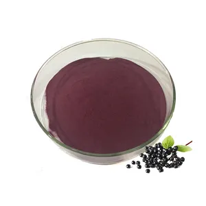 High Quality Elderberry Organic Elderberry Extract Powder