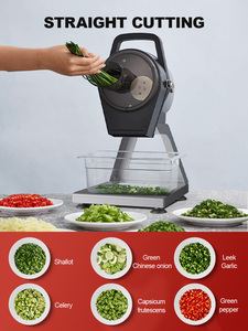 Professional Vegetable <strong>Cutter</strong> for Hotel <strong>Spring</strong> <strong>Onion</strong> Slicer Mini Ginger Shredder Thickness Adjustable 1-3mm - Product Image 3