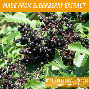 น้ำยาทิงเจอร์เอลเดอร์เบอร์รี่ส่งตรงจากโรงงานส่งเสริมการหายใจที่ชัดเจนให้กับผู้ชายและผู้หญิง - Product Image 4