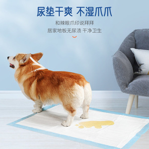 Clawand Pet Puppy <b>Pads</b> 45x60cm Thickened Disposable Training <b>Pads</b> For Dogs And Cats 50 Pieces Per Pack - Product Image 4