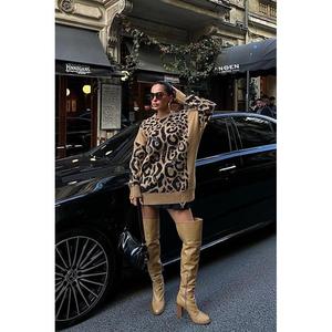 Suéter con estampado de leopardo para mujer, manga larga, informal, color camel, ajuste estándar, para otoño - Product Image 4