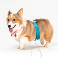 Nouvel Analyseur Magnétique de Bio-résonance Quantique Y-Rising YR-D10 2026 pour Chats et Chiens – Appareil de Soin et de Bien-être pour Animaux de Compagnie – Durée de Vie 1 An – Chine