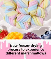 Marshmallow Kering Beku Bentuk Pilin Warna Pelangi, Marshmallow Pilin Renyah, Permen Kering Beku untuk Grosir