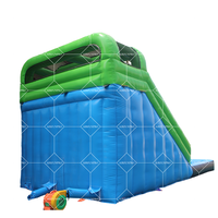 Toboggan Aquatique Gonflable Commercial en PVC, Conception Humide ou Sèche pour Enfants et Adultes, Idéal pour Usage Domestique ou Aire de Jeux