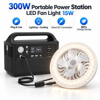 Station d'alimentation portable 80000mAh 300W à onde sinusoïdale pure, générateur de batterie au lithium pour le camping en extérieur avec lumière LED et ventilateur en option