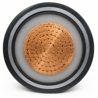 Câble d'alimentation YJV22 CU/XLPE/STA/PVC 1*120 0,6/1kV, conducteur en cuivre, blindage en bande d'acier, gaine en PVC, norme IEC