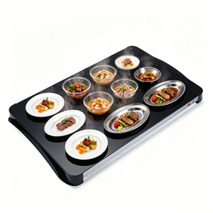 Plaque chauffante carrée simple et professionnelle 500W avec commande par bouton, température réglable, pour usage domestique et commercial, chauffe-plats de table - Product Image 4