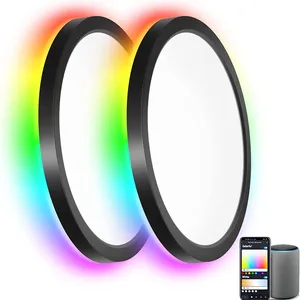 Banqcn新款美国12英寸24W CCT + 数字RGB发光二极管氛围灯wifi智能发光二极管吸顶灯AC100-120V平齐智能发光二极管吸顶灯