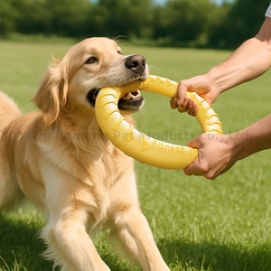 Juguetes para Masticar para Perros Agresivos, Discos Voladores para Perros Pequeños, Medianos y Grandes, Juguetes de Anillo Flotantes para Lanzar - Product Image 1