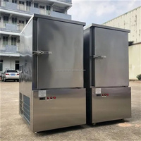 Petit congélateur rapide 10 plateaux Aliments congelés Acier inoxydable Contrôle précis de la température Porte simple Basse température