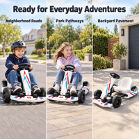 Kart électrique Crazy Kart 250W avec batterie au lithium 36V, lumières LED et Bluetooth