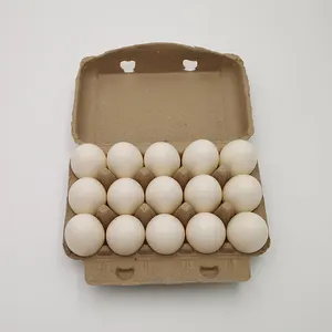 环保纸浆鸡蛋盒可回收纸鸡蛋盒子可生物降解的蛋托