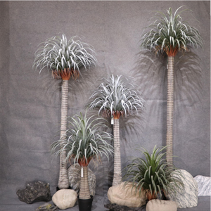 Cây Dracaena Giả Cây Rồng Thiết Kế Mớ<span class=keywords><strong>i</strong></span> Trong Nhà Cây Trang Trí Nhà Cửa Cảm Ứng Thật Cây Dracaena Trông Giống Như Thật Nhân Tạo - Product Image 5