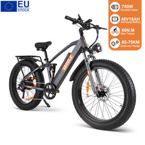 Vélo de montagne électrique tout-terrain Vakole CO26 750W avec moyeu arrière 48V, frein hydraulique sport, longue autonomie, pneus larges, cadre en aluminium, étanche - Product Image 1