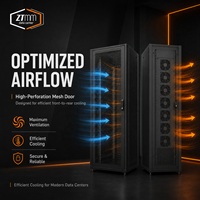 Armoire de serveur ZTmm 42U avec montage PDU et conception de gestion des câbles