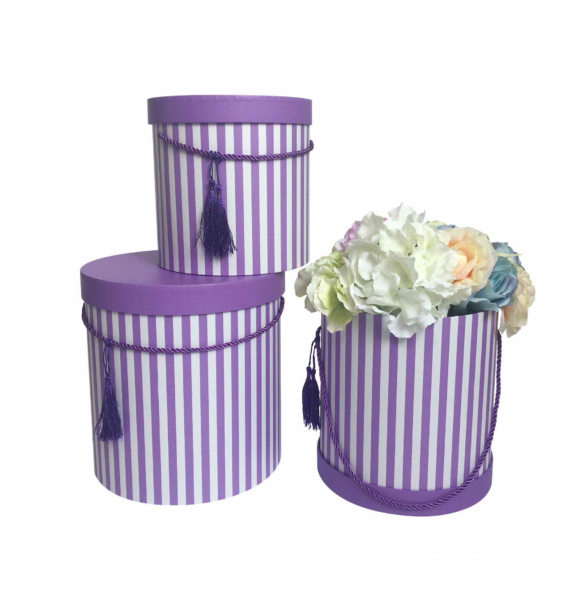 Viola