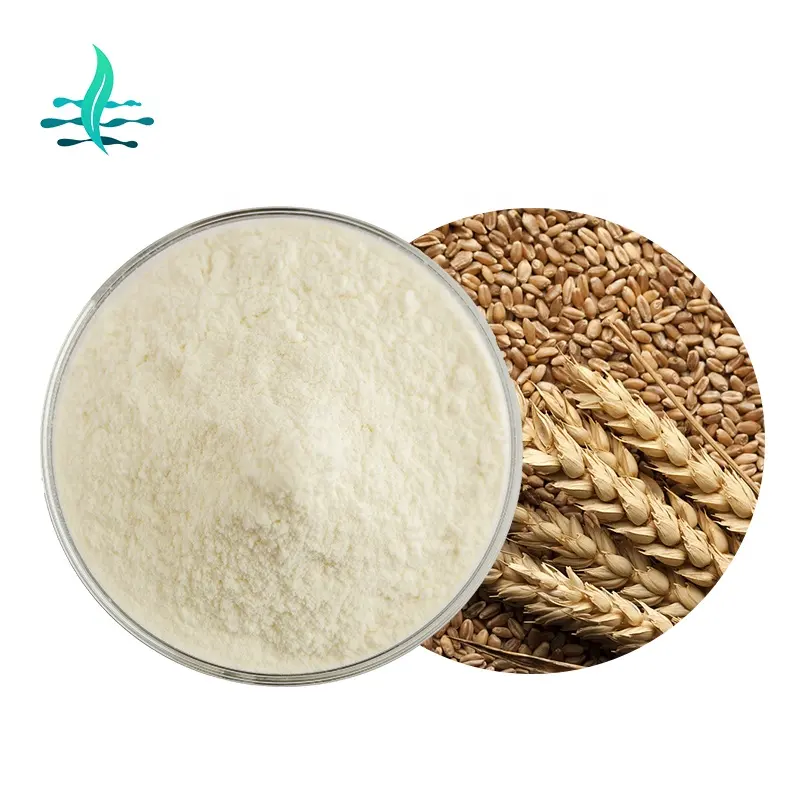 Fonte de alta qualidade 80% hidratizado trigo proteína