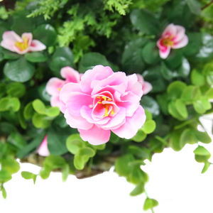 ตะกร้าแขวนใบยูคาลิปตัสดอกไม้ประดิษฐ์ทำจากพลาสติก HL-8 - Product Image 2