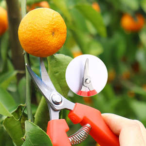 Tijeras de Podar Industriales Transfronterizas con Mango de Plástico y Acero, Tipo Bypass, de Largo Alcance, para Ambas Manos, para Floricultura y Frutas - Product Image 3