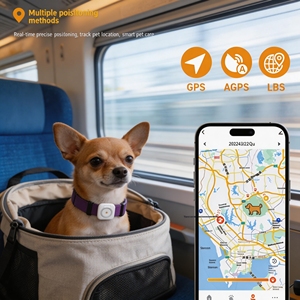 Collier intelligent <span class=keywords><strong>GPS</strong></span> rechargeable et étanche pour animaux de compagnie avec suivi en temps réel et comptage des pas, compatible Android pour la garderie animale - Product Image 5