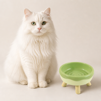 Gamelle surélevée en plastique PP en forme de donut pour chat, avec protection du cou et rebord anti-glouton pour une alimentation lente